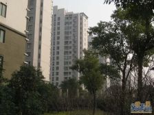 古美罗阳·万源城三期·3室·2厅