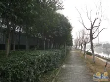 新上好房!电梯大平层四房,一梯一户,精装修,带产权车位诚售