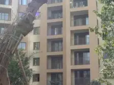 洋房,采光好 户型方正 主次分明