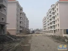 自然居家园 2室2厅1卫 南