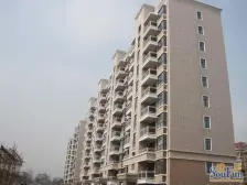 店长推荐 房东急售 南北通户型 电梯高层 视野开阔