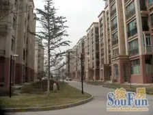 地铁口 大复试 辰北花园 户型方正 视野开阔