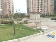 紫金城旁 交通方便 小区改造环境好