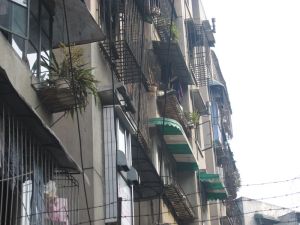 为民新村2室1厅南