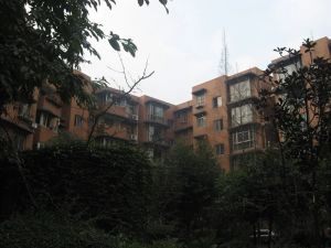 银沙路8号 2室1厅 南