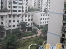 陈家坪地铁环线 精装跃层 直接入住