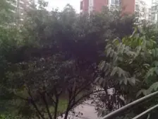 华立天地豪园 4室2厅 南 北