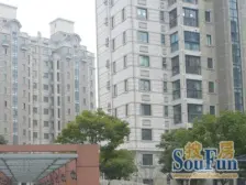 无shui/复旦科技未用/精装拎包入住