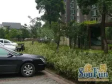 采光好 南北通 税费少 装修保养好 诚意出售