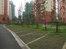 2008年的商品房+满五唯一+中间楼层+随时看房