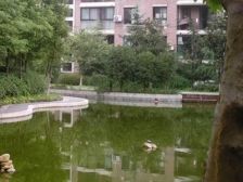 产证在手,业主急售,南北通透,近地铁,一梯两户