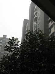 巷上生活馆1室1厅东南
