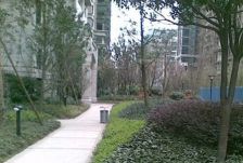 神仙树大院二期 2室2厅 南