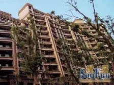 上海绿城中芯位置安静四房,高区,有车位,诚售