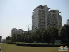 大开间,卫生间全明,小区入口附近,品质小区