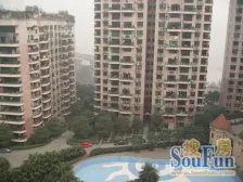 杨家坪,珠江花园,电梯小高,大平层,大3房双卫