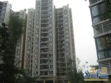 杨家坪商圈 森林小区 住家精装三房 采光好