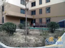 金燕花园 2室1厅 东 西