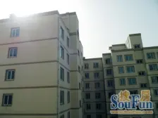 火车站 电梯房金燕花园 3室2厅 拎包入住