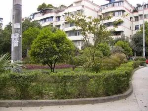 交大广厦小区3室2厅西南