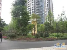 鸥鹏K城 3室2厅 南 北