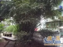 双轻轨,住家装修三房,低楼层,朝中庭,住家安静