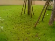 龙头寺 中央美地三房167万