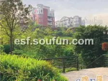 前后中庭 2+1板式洋房 顶跃带露台 南北通透