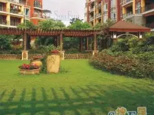 洋房顶跃面积大+小区大环境好+安静不吵+配套齐全成熟