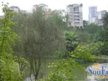 位于小区中庭位置,采光好,使用面积大,视野无遮挡