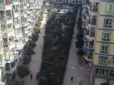 顶楼带屋顶花园 电梯房 双轻轨 新都汇旁