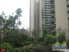 晋愉九龙湾 4室2厅 南 东南