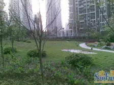 冉家坝 劲力五星城(一期)二房118万