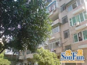 华景新城沁馥佳苑 5房 178 方