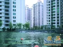 全新精装修带地暖+小区品质高+景观好+地段好+有钥匙