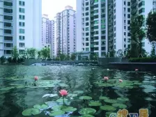 徐家汇·东方曼哈顿·3室·2厅