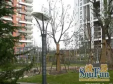 大宁·明园森林都市滴翠苑·4室·1厅