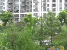 大宁2007年小区,精装修2梯3户南北板楼3房2卫,有钥匙