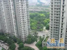 南京西路三轨交汇+商品房南北通大1房+新换电梯+急售
