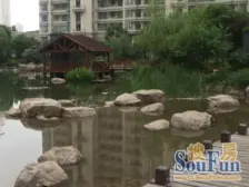 太古汇旁 中 心中 中凯高区 四开间朝南 三轨交汇