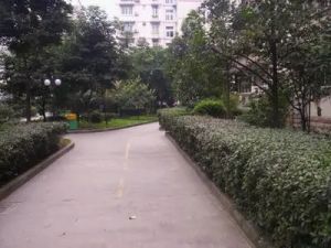 锦秀民居3室1厅南北