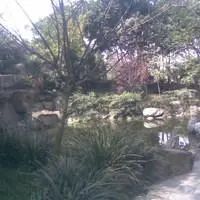 东湖花园水晶座1室1厅东南南