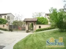 麓山国际云堤曦岸 4室2厅 东南 南