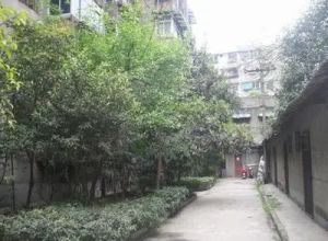 金罗路2号1室1厅东南
