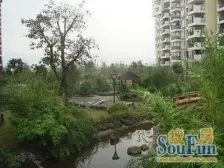 美堤雅城大三房双卫朝中庭诚意出售