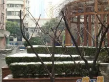 环境优美,近地铁,精装修,采光充足,得房率高
