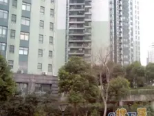 靓瞎眼!新装修200W拎包入住 三面环河 玉带环腰