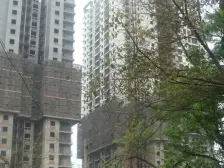 亲和佳苑 2室2厅 南