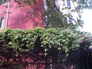 皇城公寓2室2厅东南