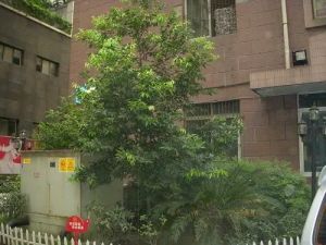 皇城公寓4室1厅东南南西南